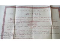 Diploma for Doctor of Veterinary Medicine Sof. University 1931