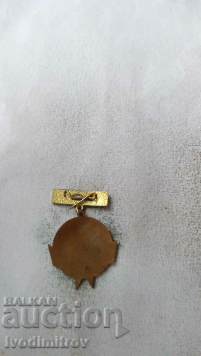 Значка Радецки 1966 с цена 2.35 лв. | € 1.20 Значка Радецки 1966 с цена 2.35 лв. | € 1.20