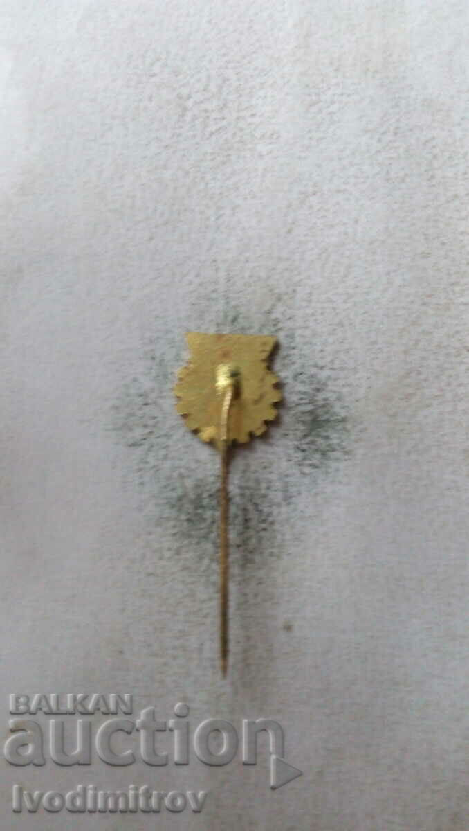 KOSICE badge with price 2.35 BGN | € 1.20 KOSICE badge with price 2.35 BGN | € 1.20