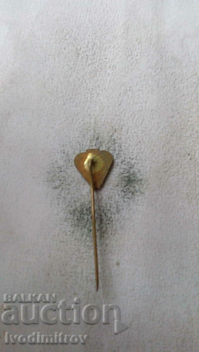 30 years badge METAZ with price 2.65 BGN | € 1.35