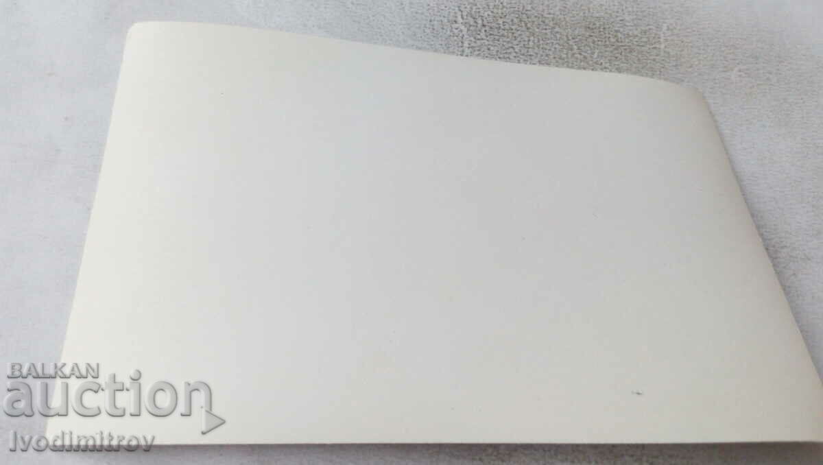 Φωτογραφία του Ford και τεσσάρων Γλάρων μπροστά από το Inn με τιμή 2.35 BGN | € 1.20 Φωτογραφία του Ford και τεσσάρων Γλάρων μπροστά από το Inn με τιμή 2.35 BGN | € 1.20