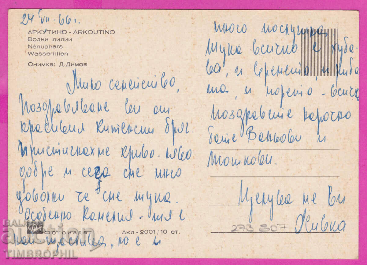 273807 / ARKUTINO Water lilies 1966 Bulgaria card with price 1.20 BGN | € 0.61 273807 / ARKUTINO Water lilies 1966 Bulgaria card with price 1.20 BGN | € 0.61