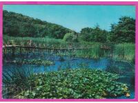 273807 / ARKUTINO Water lilies 1966 Bulgaria card