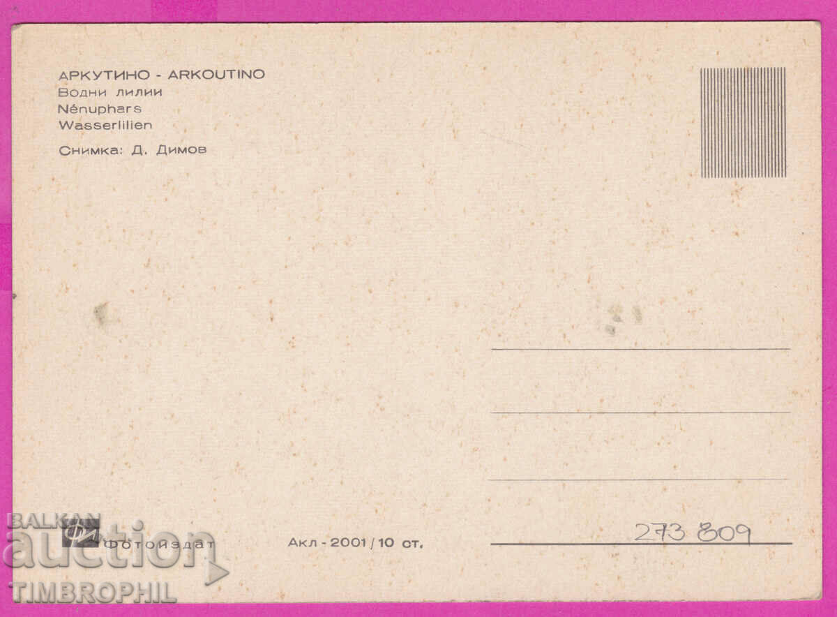 273809 / ARKUTINO Water lilies 1966 Bulgaria card with price 1.20 BGN | € 0.61