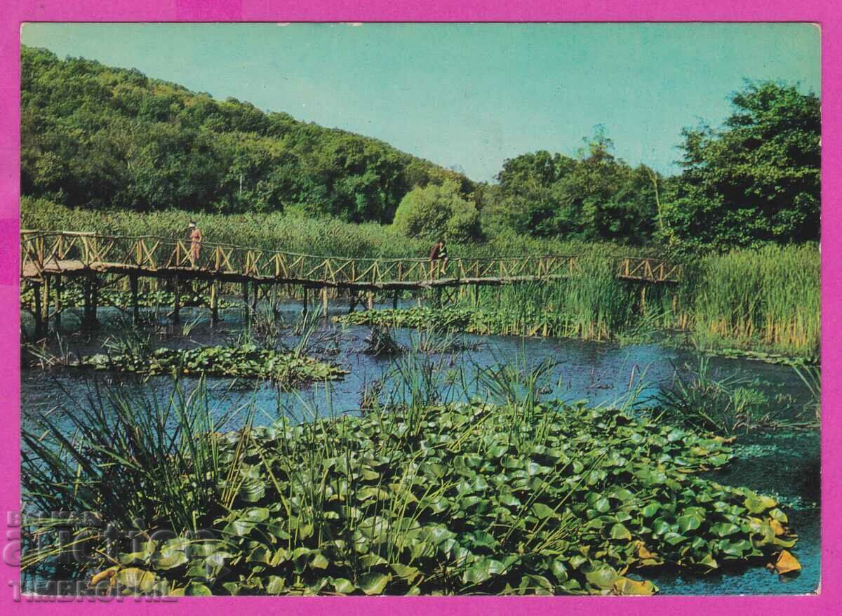 Auction  273809 / ARKUTINO Water lilies 1966 Bulgaria card