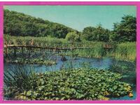 273809 / АРКУТИНО Водни лилии 1966 България картичка