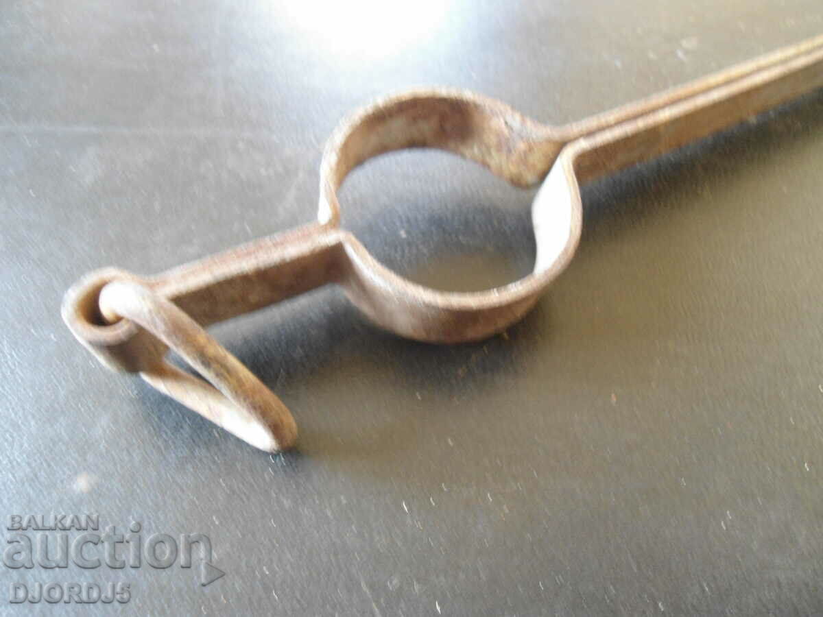 Auction  Old Masha, Dilav