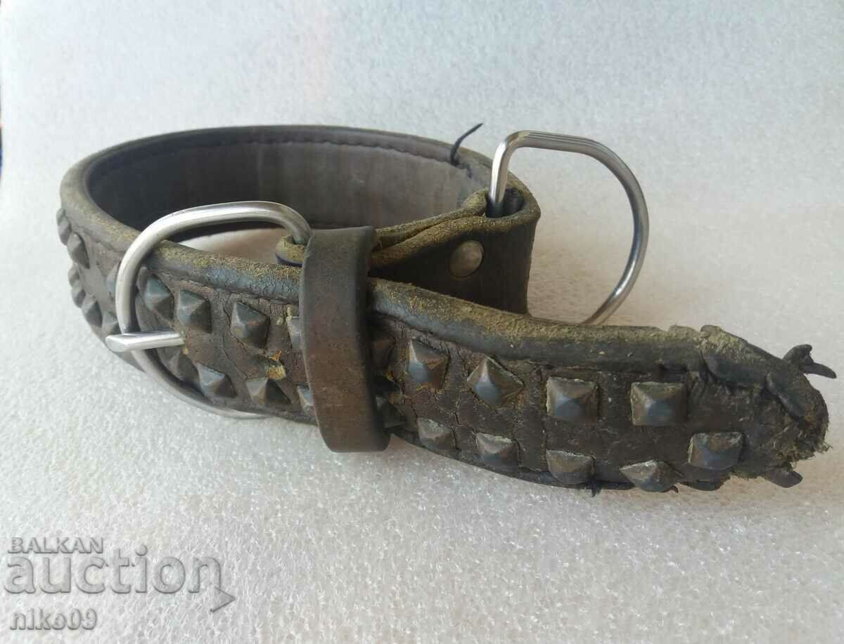 Brutal old dog collar made of calfskin!