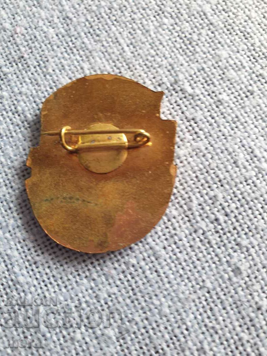 Auction  Badge. For active trade union work