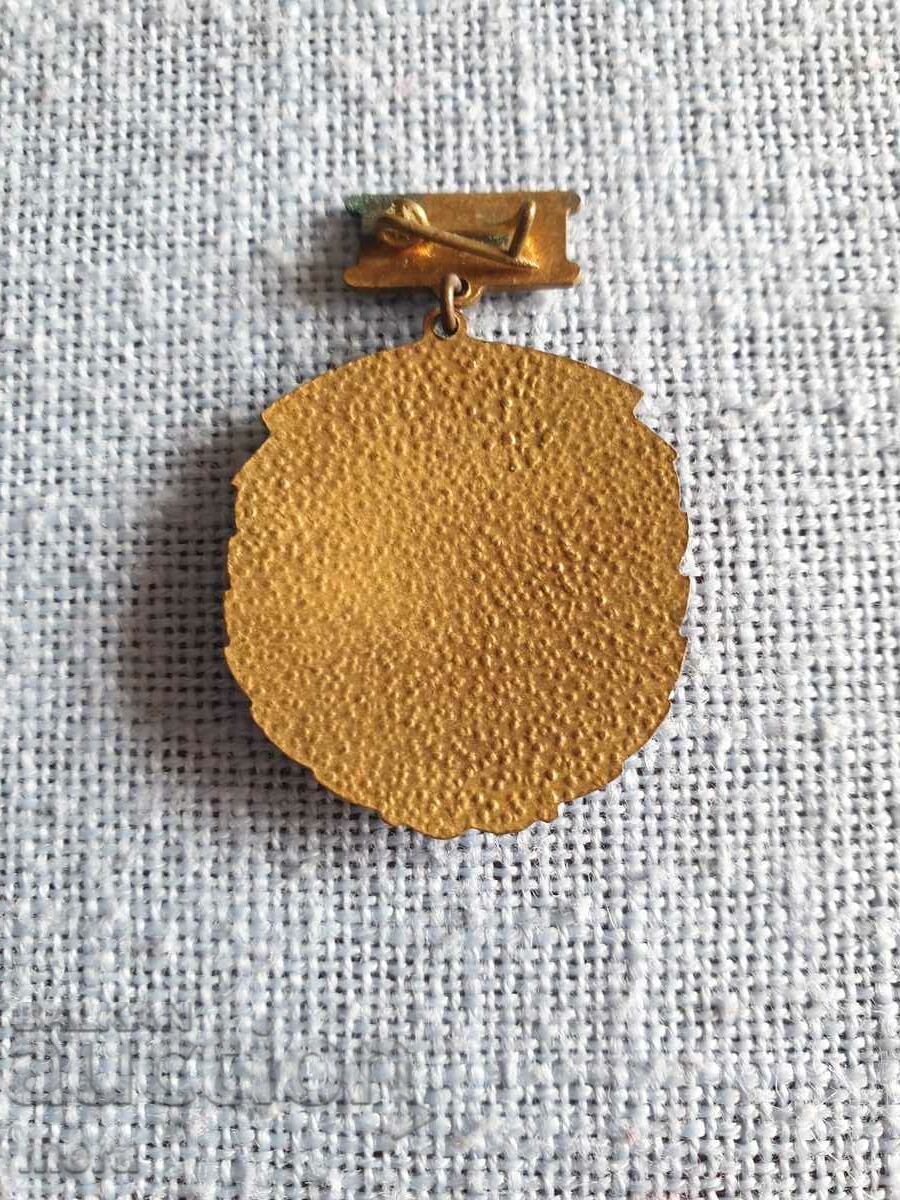 GUSV-For labor distinction with price 38.00 BGN | € 19.43