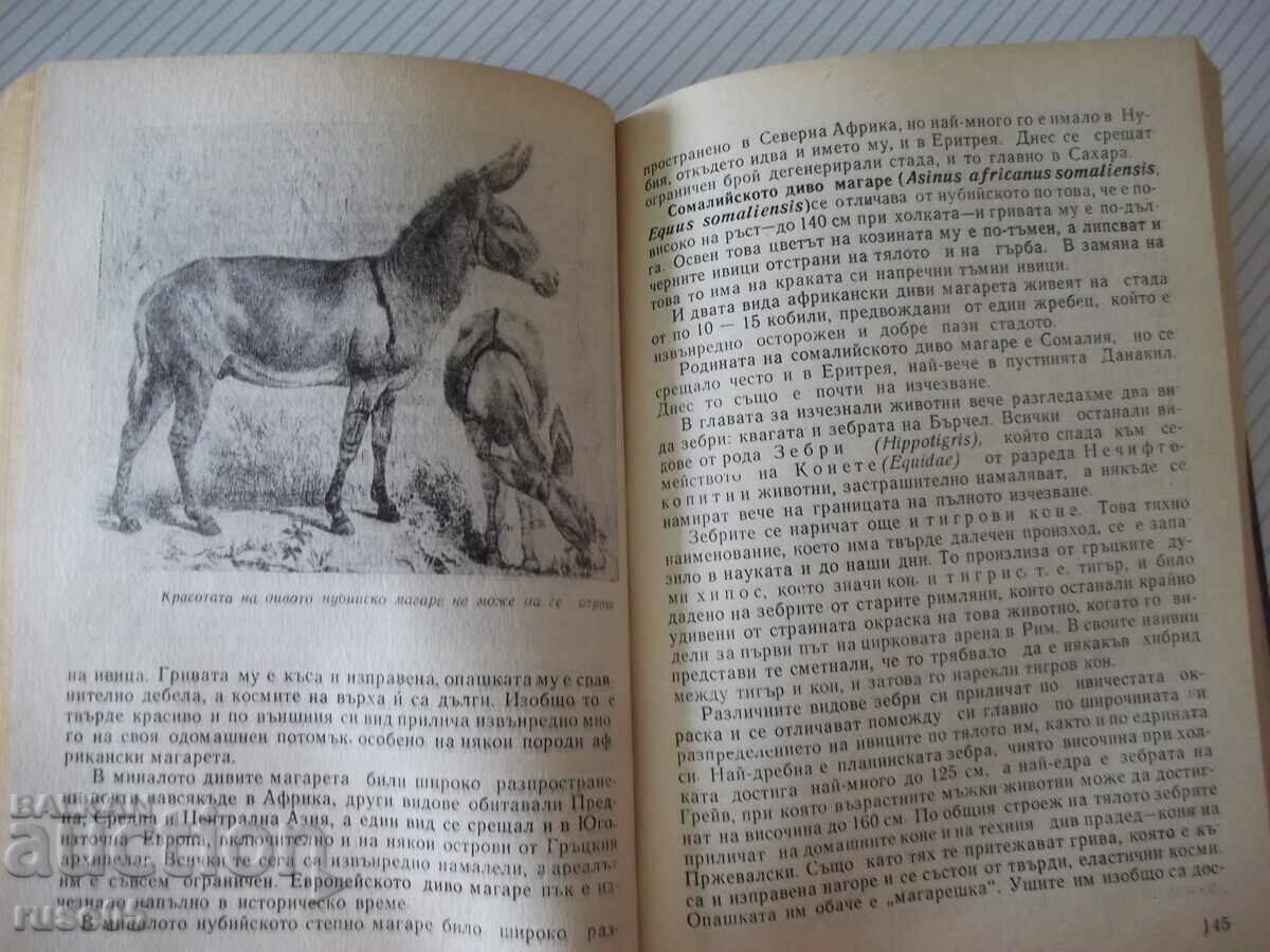 Book "Extinct and endangered animals - N. Nikolov" - 292 pages. - 5 Book "Extinct and endangered animals - N. Nikolov" - 292 pages. - 5