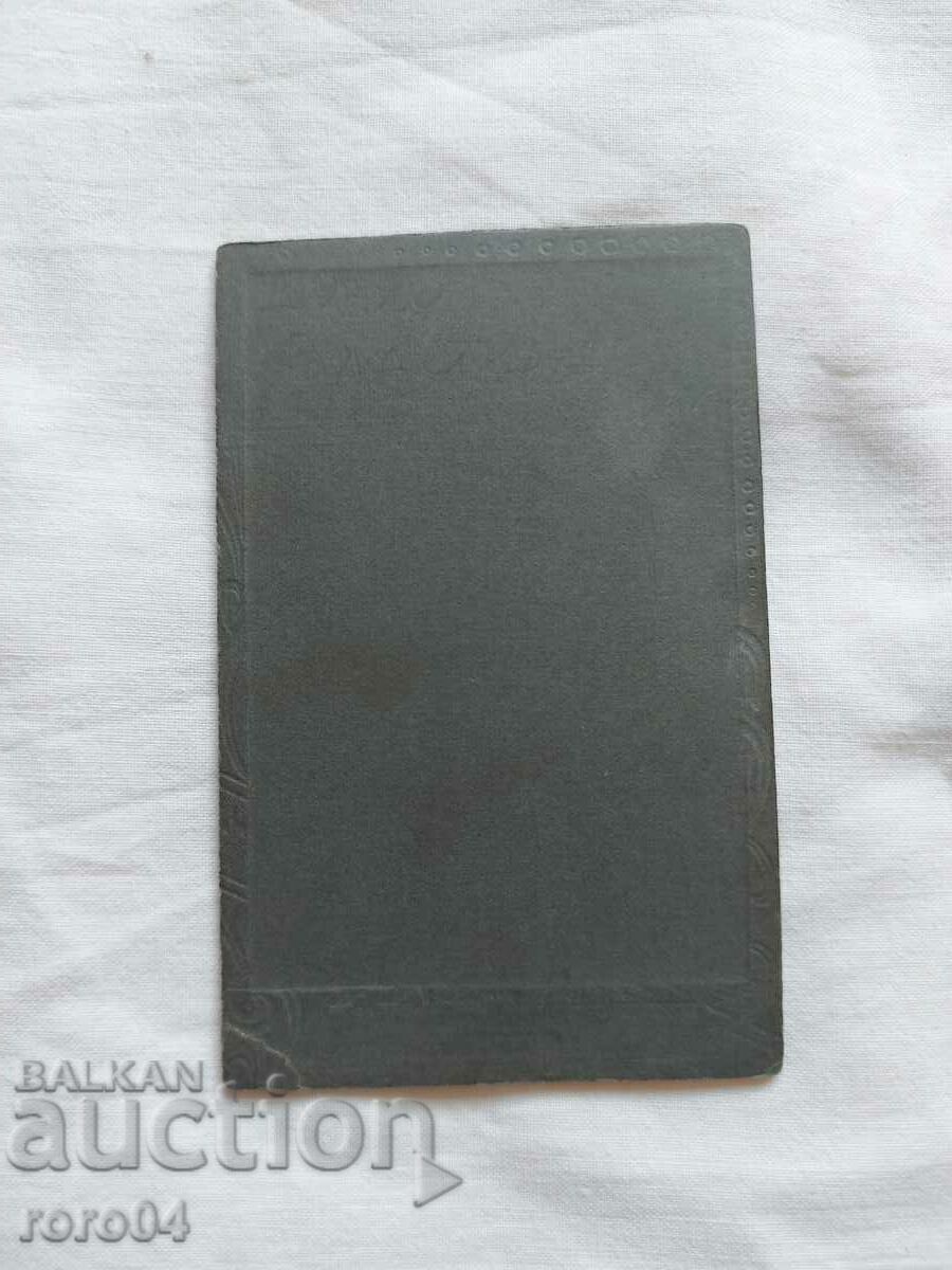 DONKO ALIPIEV VLAYKOV - 6