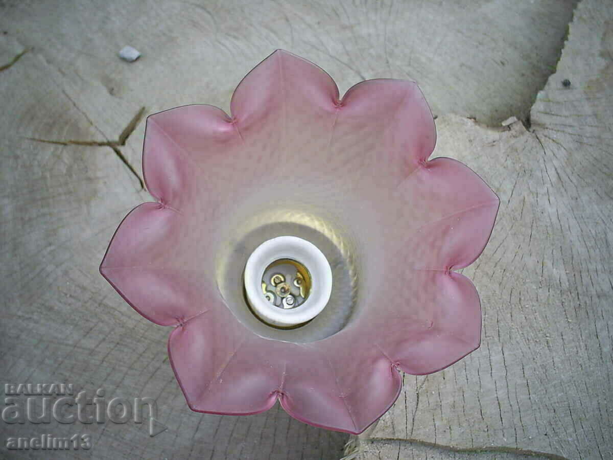 Delivery of OLD CHILDREN'S CHAMPIONSHIP LAMP Delivery of OLD CHILDREN'S CHAMPIONSHIP LAMP