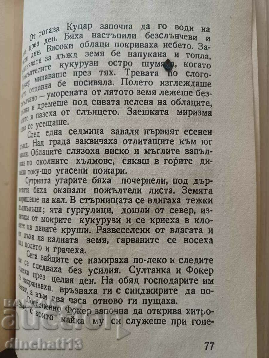 Auction A wild bird. Fokker - Emilian Stanev 1946 Auction A wild bird. Fokker - Emilian Stanev 1946