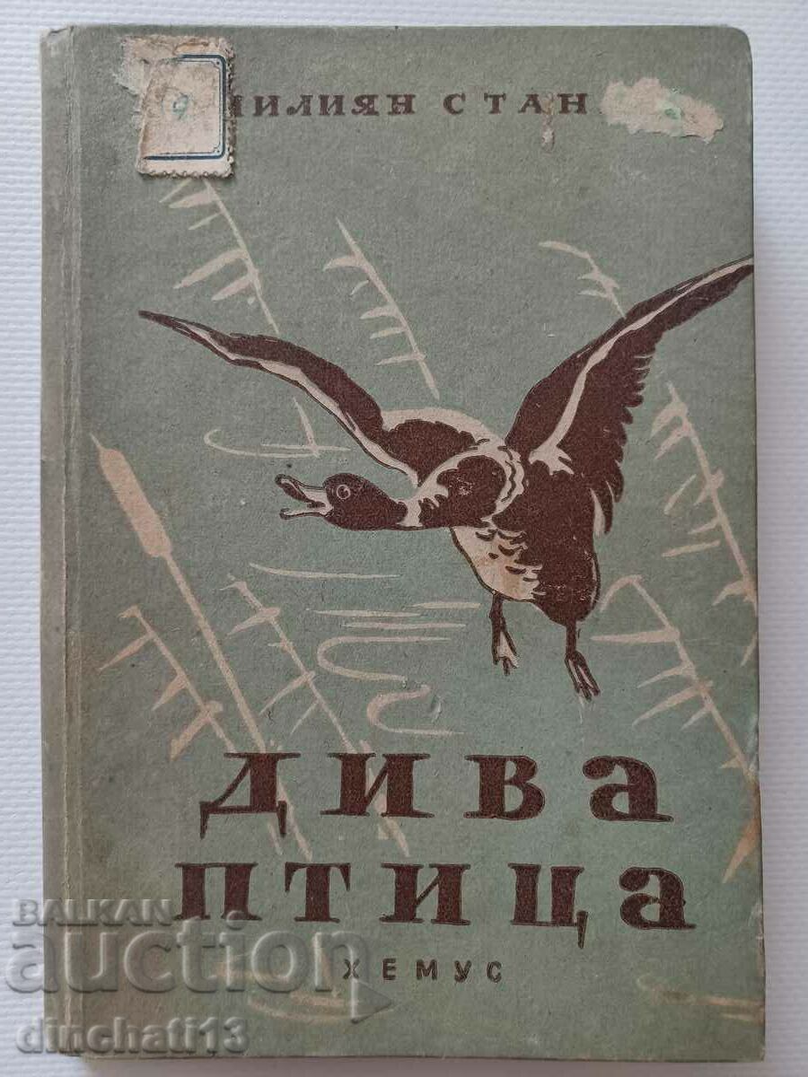 Άγριο πουλί. Fokker - Emilian Stanev. 1946