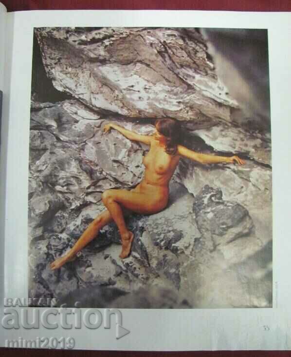 Auction 1979 Fischer's Act Book of Photography Auction 1979 Fischer's Act Book of Photography