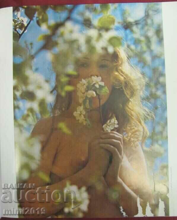 Delivery of 1979 Fischer's Act Book of Photography Delivery of 1979 Fischer's Act Book of Photography