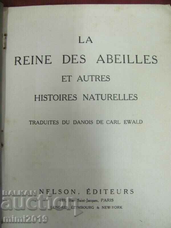 Auction  Old Children's Book Paris