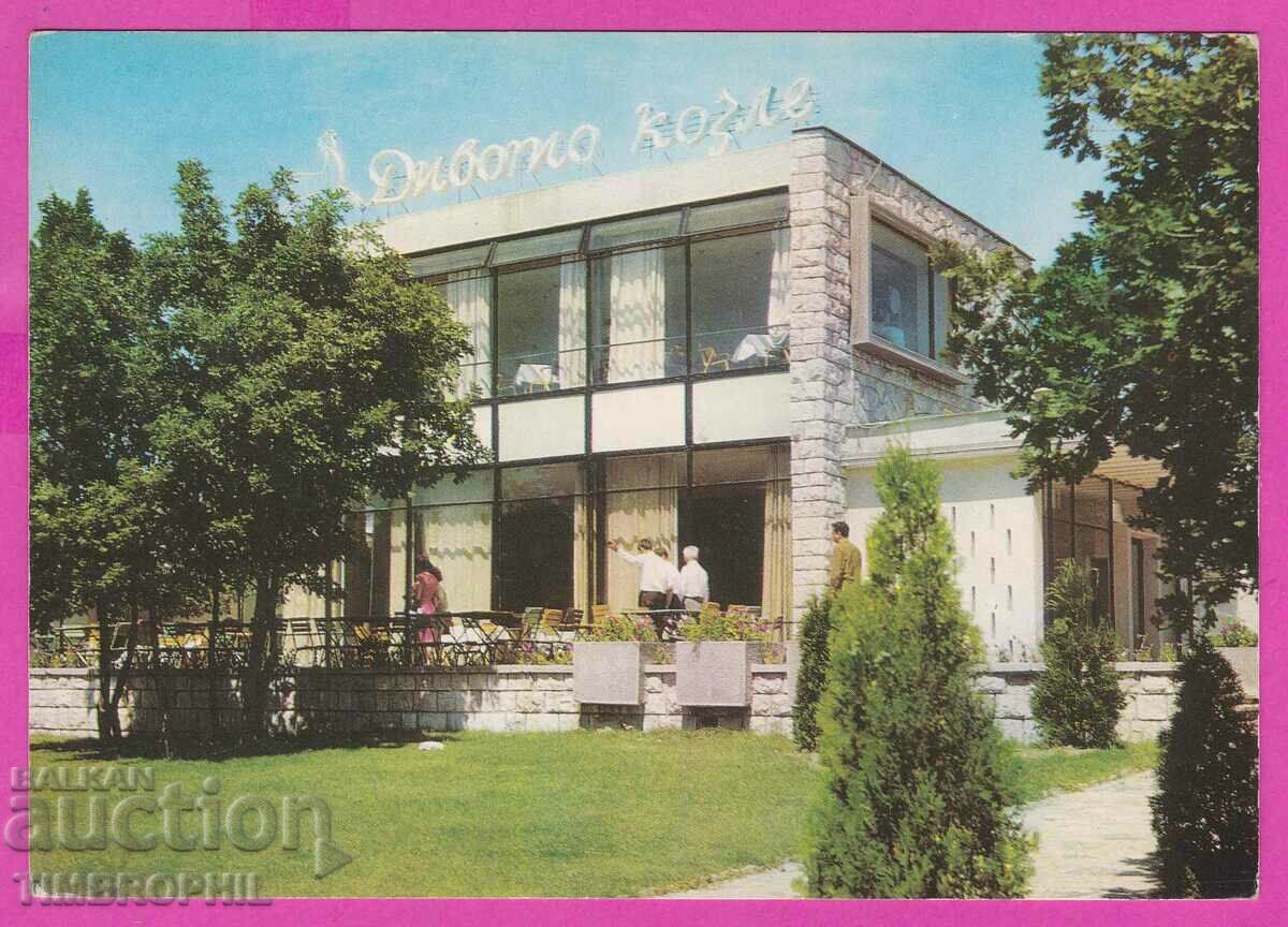 Auction 273759 / HASKOVO Restaurant The Wild Goat 1966 card Auction 273759 / HASKOVO Restaurant The Wild Goat 1966 card