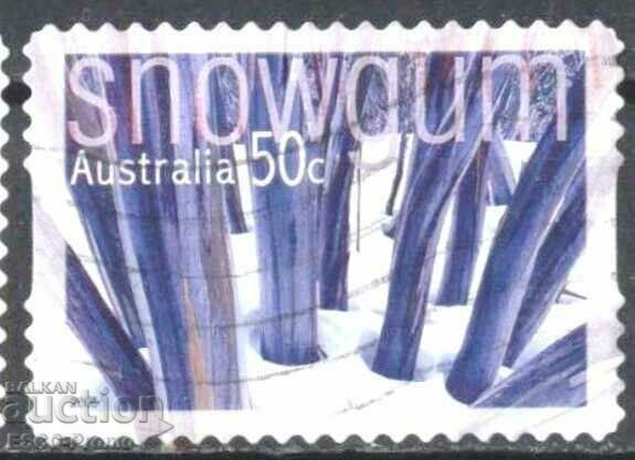 Επώνυμη μάρκα Snow Winter Trees από την Αυστραλία