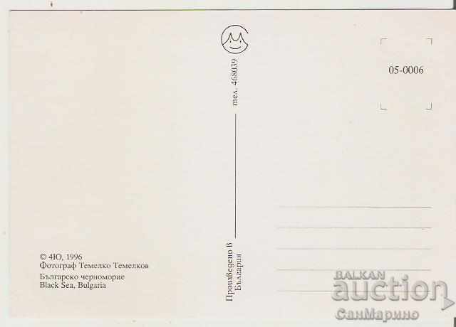 Card Bulgaria Bulgarian Black Sea Coast View 31 * with price 0.60 BGN | € 0.31 Card Bulgaria Bulgarian Black Sea Coast View 31 * with price 0.60 BGN | € 0.31