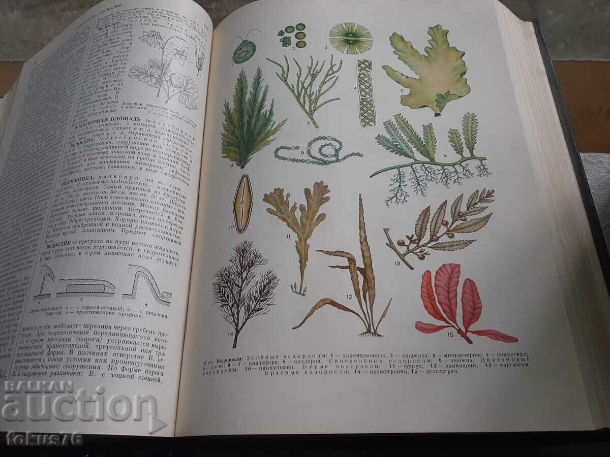 Δημοπρασία Μικρή σοβιετική εγκυκλοπαίδεια - 5 τόμοι Δημοπρασία Μικρή σοβιετική εγκυκλοπαίδεια - 5 τόμοι