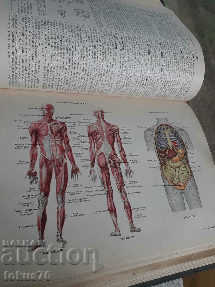 Παράδοση Μικρή σοβιετική εγκυκλοπαίδεια - 5 τόμοι Παράδοση Μικρή σοβιετική εγκυκλοπαίδεια - 5 τόμοι