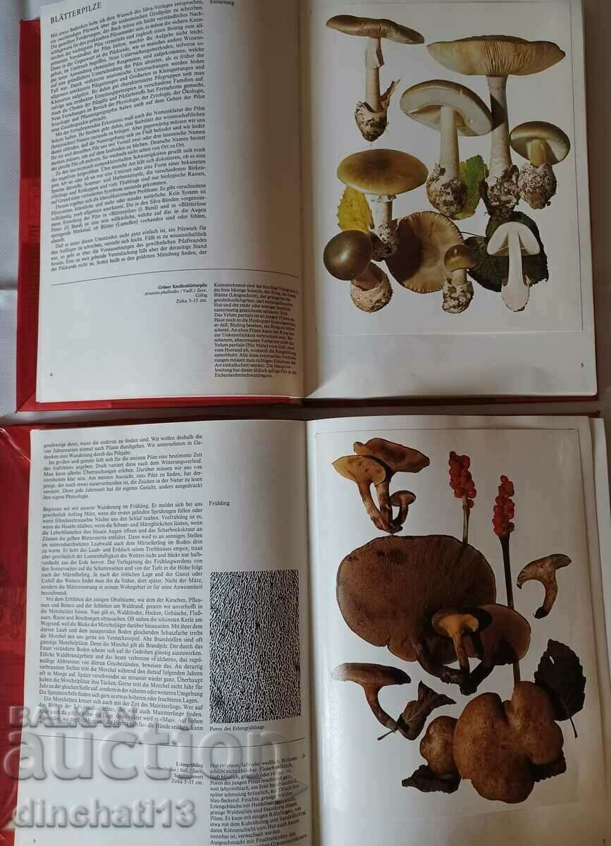 Delivery of PILZE. Band 1.2 - Mushrooms Tom 1.2