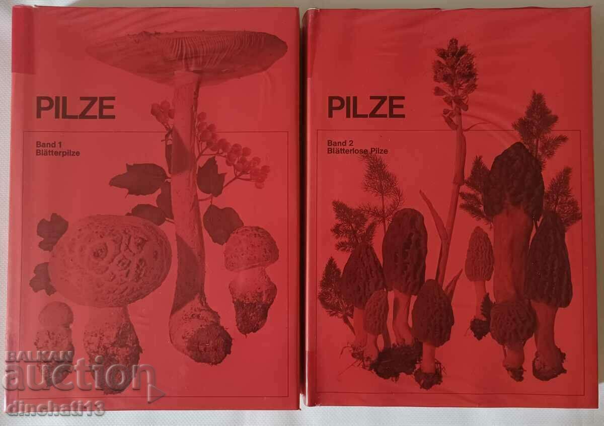 PILZE. Banda 1.2 - Ciuperci Tom 1.2