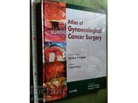 Атлас гинекология Atlas of Gynaecological Cancer Surgery