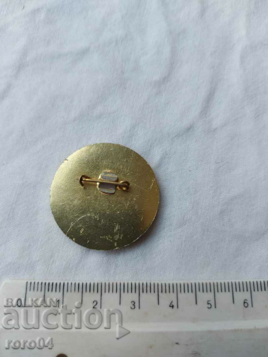 IX BPS CONGRESS - SOFIA '82 - 6 IX BPS CONGRESS - SOFIA '82 - 6