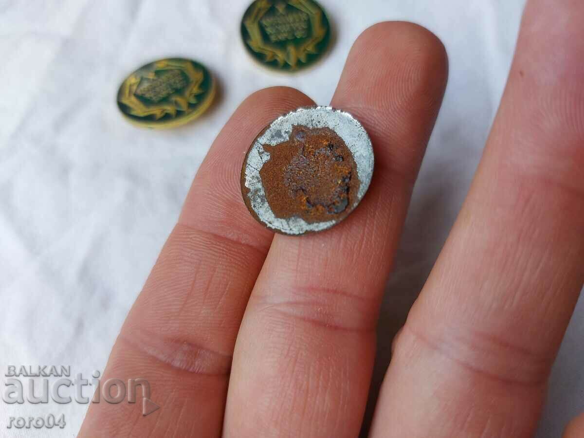 BLRS '82 - EXRO' 81 - 6 BLRS '82 - EXRO' 81 - 6