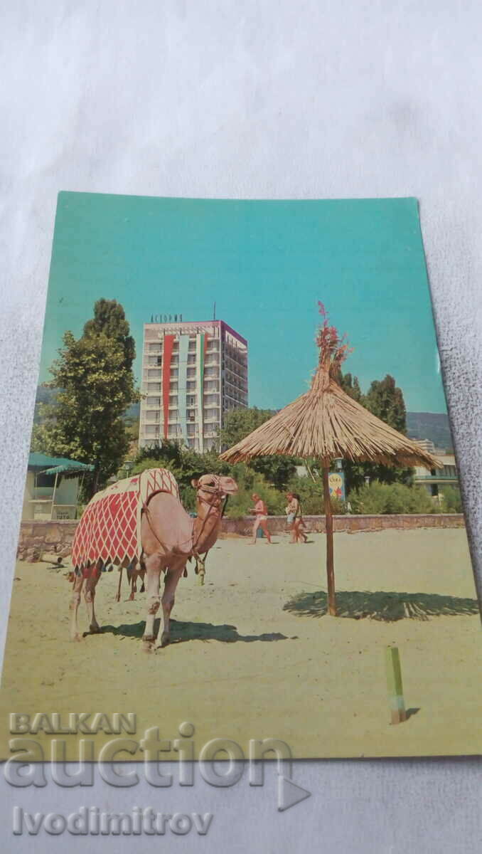 Postcard Nisipurile de Aur Hotel Astoria 1967