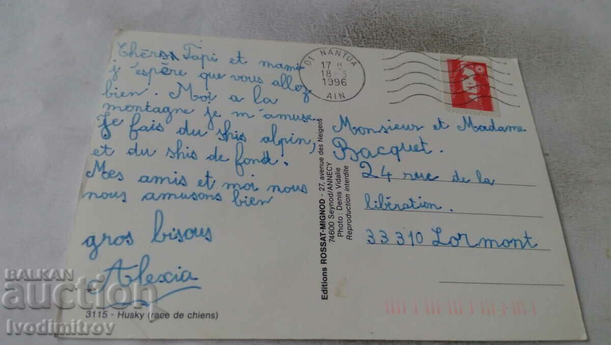 Postcard Husky 1996 with price 1.45 BGN | € 0.74 Postcard Husky 1996 with price 1.45 BGN | € 0.74