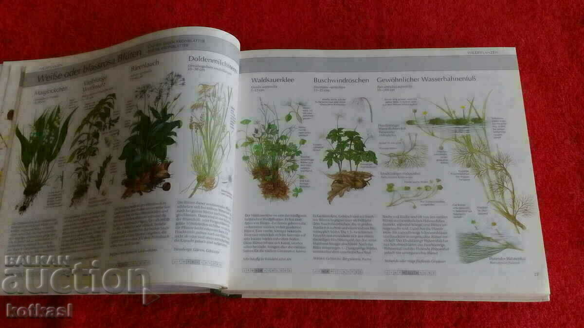 A guide to nature with price 21.00 BGN | € 10.74 A guide to nature with price 21.00 BGN | € 10.74