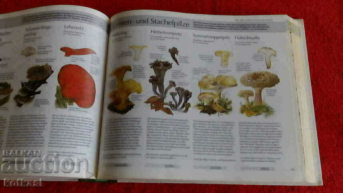 Delivery of A guide to nature Delivery of A guide to nature