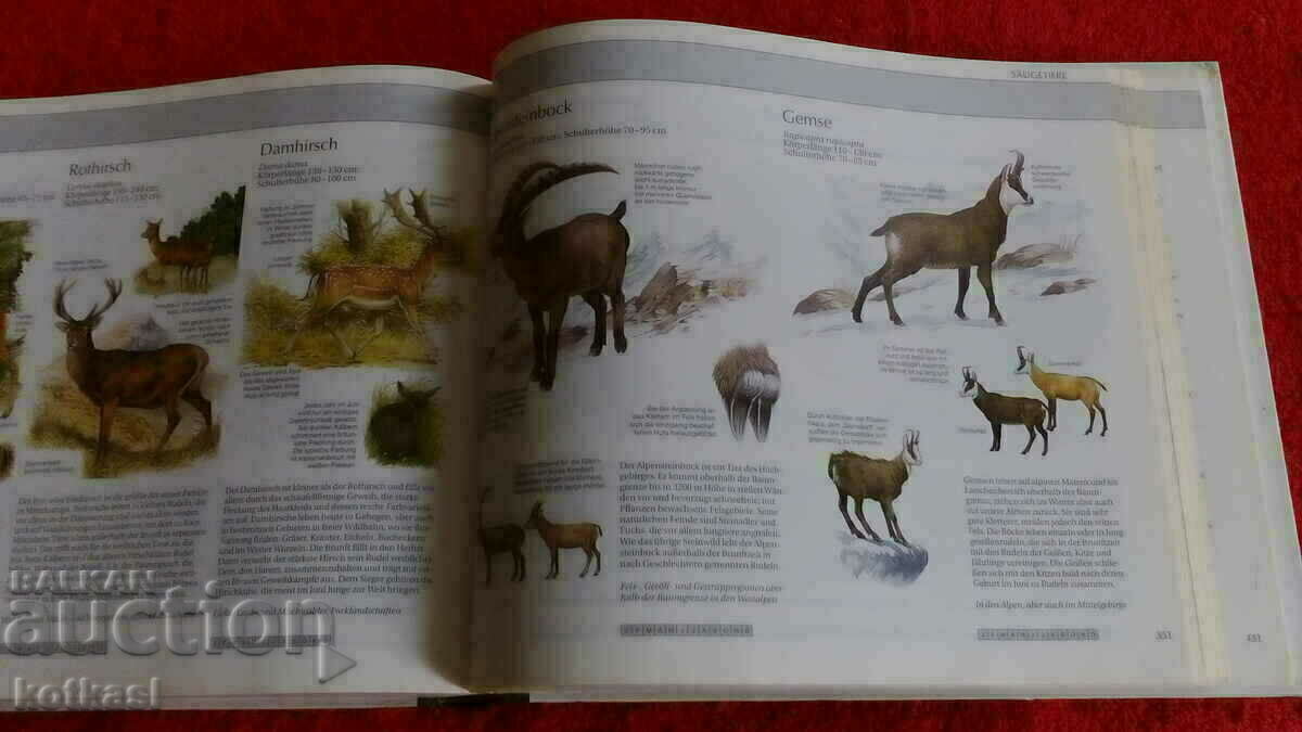 A guide to nature - 5 A guide to nature - 5