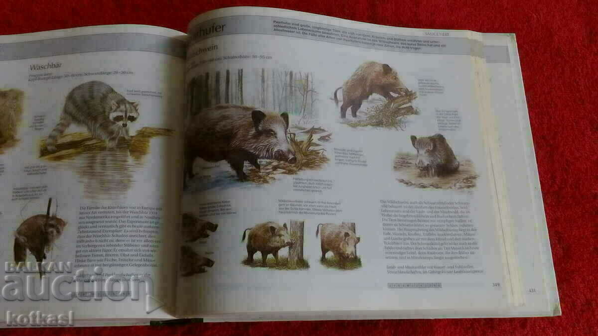 A guide to nature - 6 A guide to nature - 6