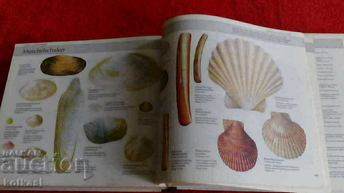 A guide to nature - 7 A guide to nature - 7