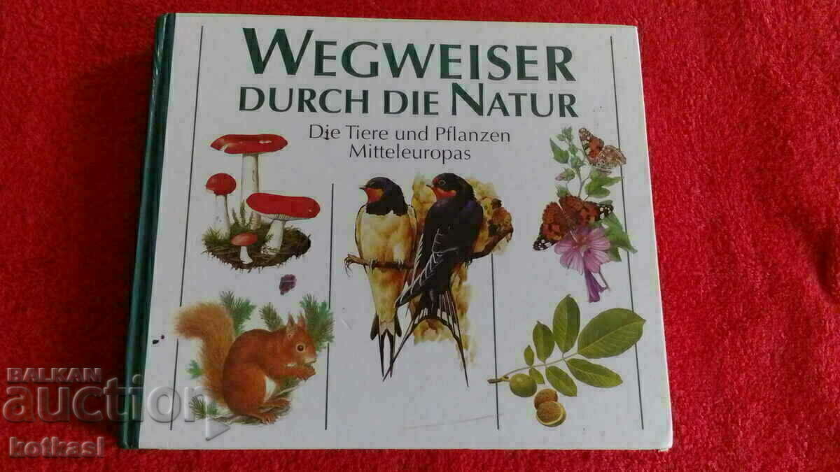 A guide to nature A guide to nature
