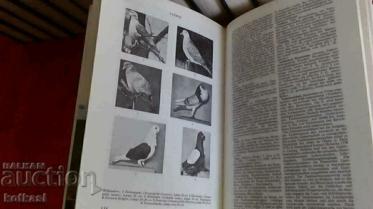 lingen lexicon encyclopedia book lot volume - 5 lingen lexicon encyclopedia book lot volume - 5