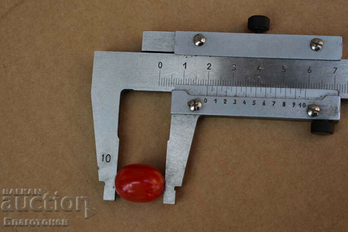 Κεχριμπάρι - 6