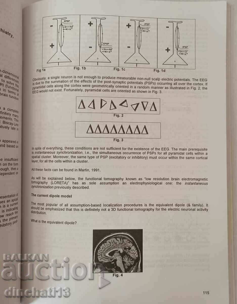 Delivery of Electrophysiological Brain Research in Preclinical and ...