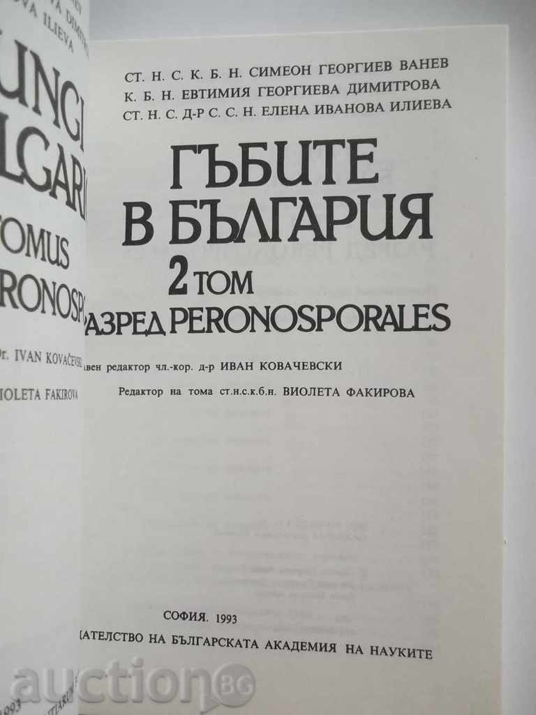 Mushrooms in Bulgaria. Volume 2 Simeon Vanev et al. 1993 with price 12.00 BGN | € 6.14 Mushrooms in Bulgaria. Volume 2 Simeon Vanev et al. 1993 with price 12.00 BGN | € 6.14