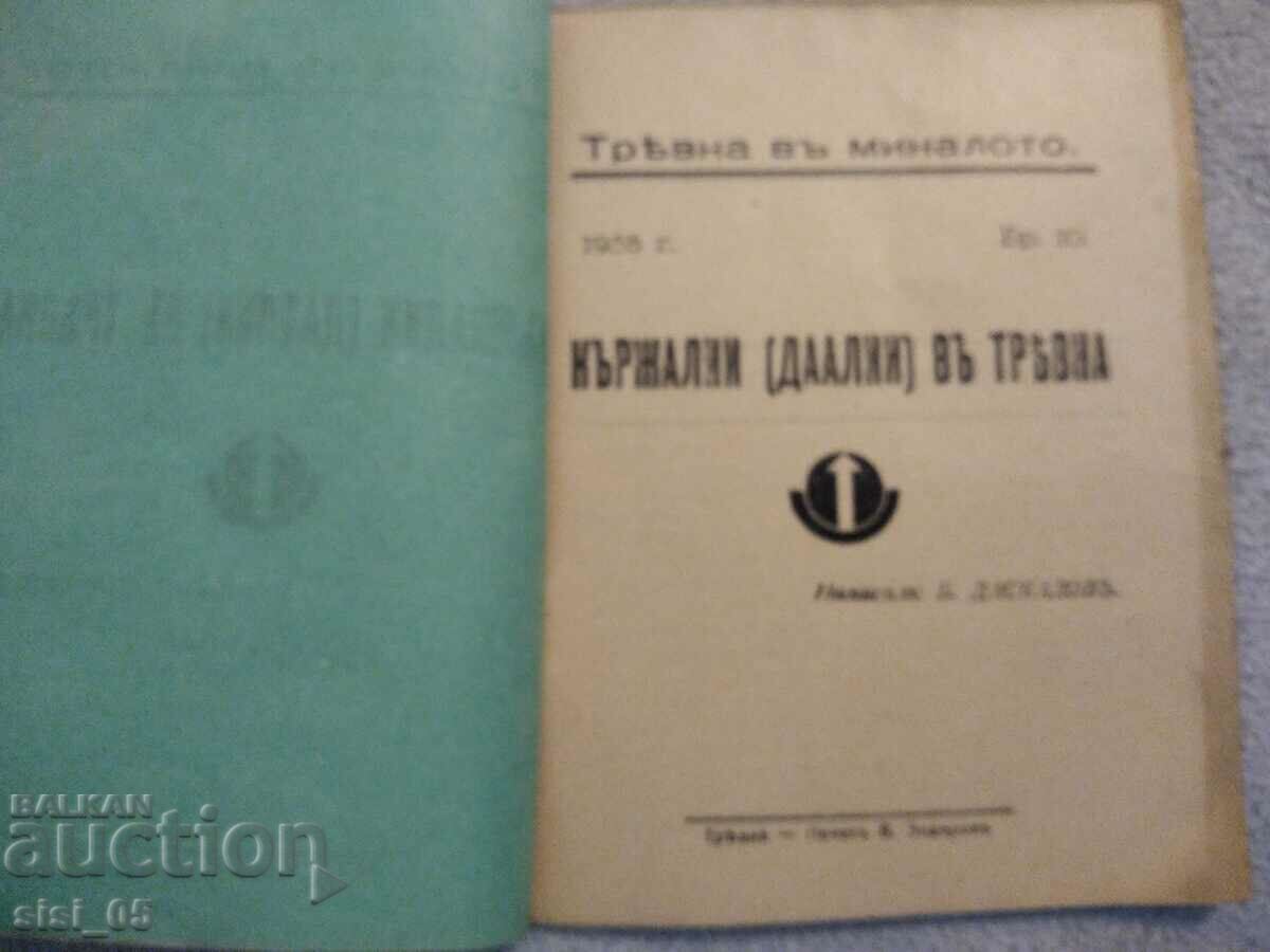 Auction An old book, a book, a fairy tale Tryavna in the past B. Daskalov Auction An old book, a book, a fairy tale Tryavna in the past B. Daskalov
