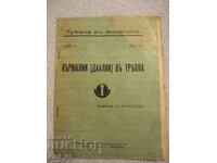Ένα παλιό βιβλίο, ένα βιβλίο, ένα παραμύθι Tryavna στο παρελθόν B. Daskalov