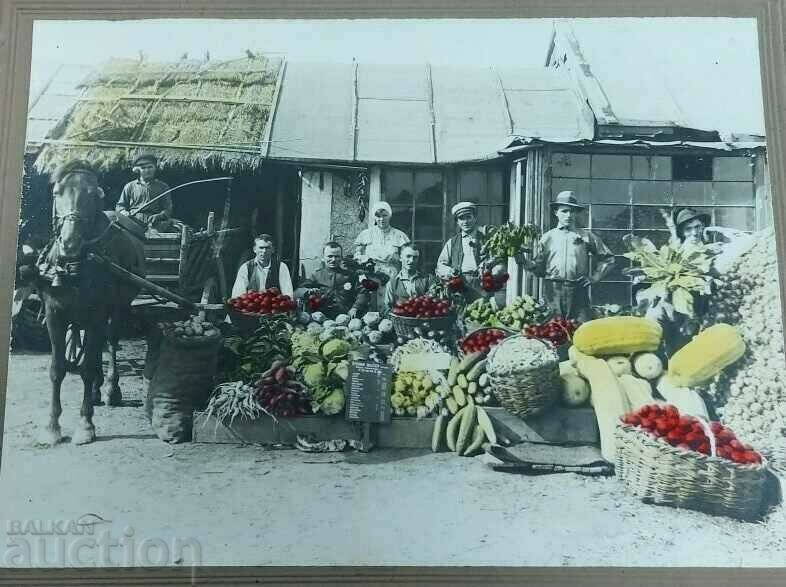 BULGARIAN GARDENERS OLD BIG PHOTO PHOTO with price 35.00 BGN | € 17.90