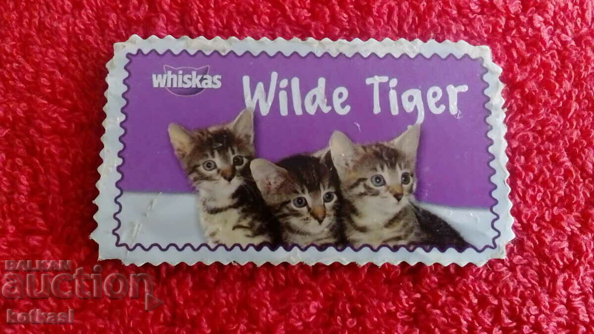 Souvenir Fridge Magnet Cats with price € 0.50 | 0.98 BGN Souvenir Fridge Magnet Cats with price € 0.50 | 0.98 BGN