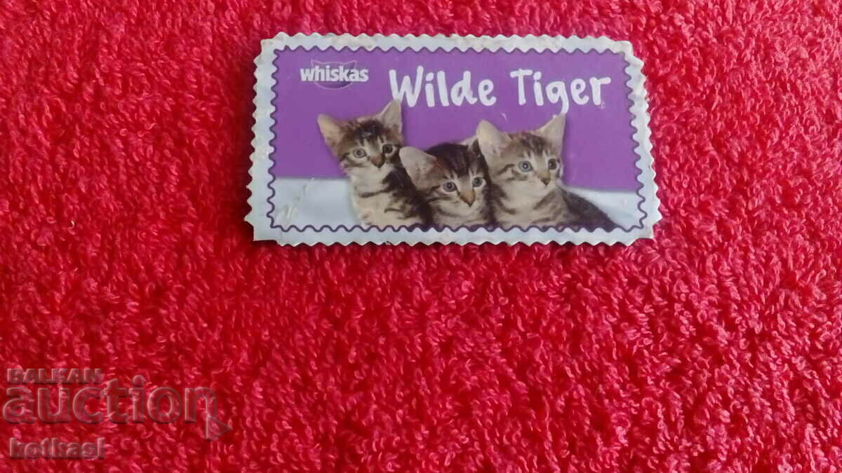 Licitație Suvenir Magnet Frigider Pisici Licitație Suvenir Magnet Frigider Pisici