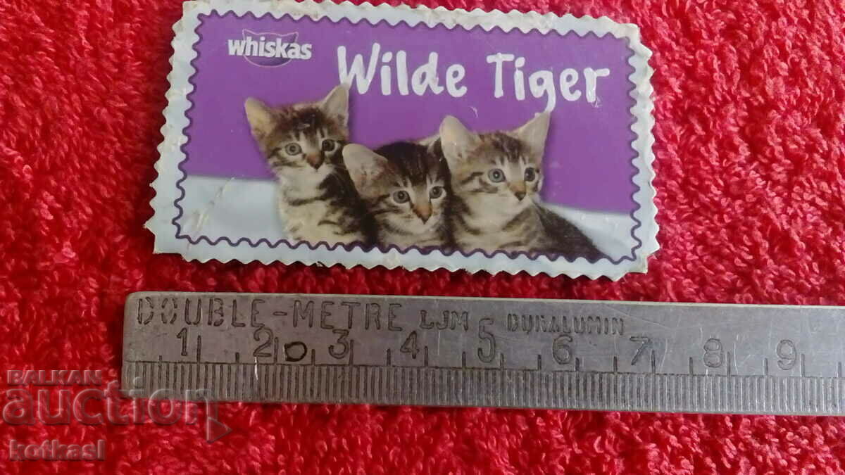 Souvenir Fridge Magnet Cats